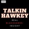 Twitter avatar for @TalkinHawkey