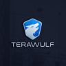 Twitter avatar for @TeraWulfInc