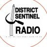 Twitter avatar for @TheDCSentinel