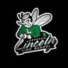Twitter avatar for @TheHiveFootball