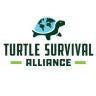 Twitter avatar for @TurtleSurvival