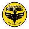 Twitter avatar for @WgtnPhoenixFC