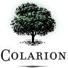 Twitter avatar for @colarion