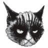 Twitter avatar for @evilbmcats