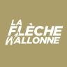 Twitter avatar for @flechewallonne