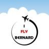 Twitter avatar for @i_fly_Bernard