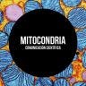 Twitter avatar for @mitocondriacc