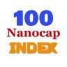 Twitter avatar for @nanocap100