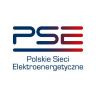 Twitter avatar for @pse_pl