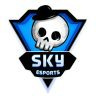 Twitter avatar for @skyesportsindia