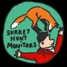 Twitter avatar for @surreymonitors