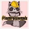 Twitter avatar for @teamraccoonpdx
