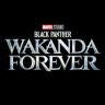 Twitter avatar for @theblackpanther
