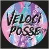 Twitter avatar for @velociposse