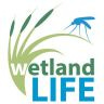 Twitter avatar for @wetlandLIFE