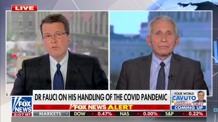 Fauci, Cornered, Repressing Rage in TV Interview: "I Didn't Shut Down Anything."