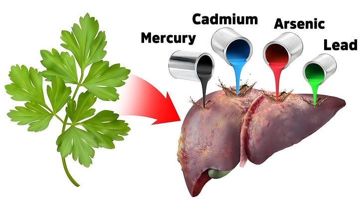 Heavy Metal DETOXIFICATION OF THE BODY Such as 'Chemtrail' Heavy Metals and Graphene Oxide from the BioWeapon.