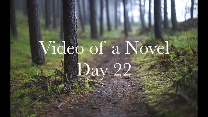 Video of a Novel: Day 22 - by Shawn Smucker