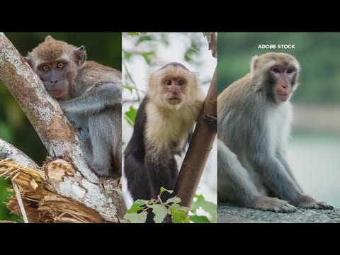 Unusual warning... Coincidence?