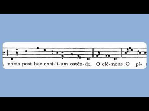 St. Martín De Porres sang to the Queen of Saints with Miraculous Fervor. Learn two melodies by ear for the "Salve Regina". Download: Plain song / text screenshots from Father Weinmann's "Vesperbuch". 