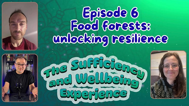The Sufficiency and Wellbeing Experience (for Members)