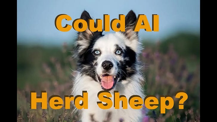 A.I. mystery solved by border collie