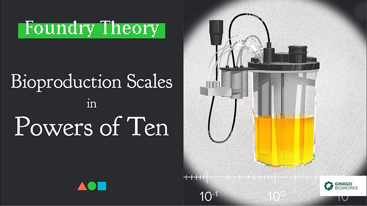 bioproduction-scales-in-powers-of-ten-foundry-theory