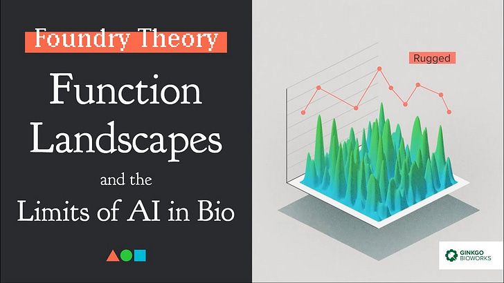 Function Landscapes and the Limits of AI in Bio