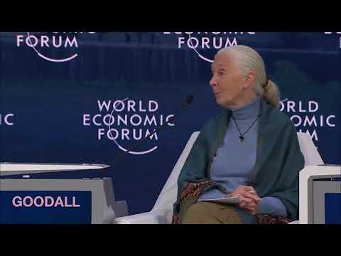 What's the deal with Jane Goodall?