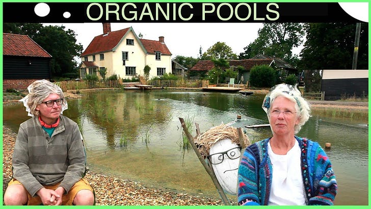 Organic Pools by David Pagan Butler