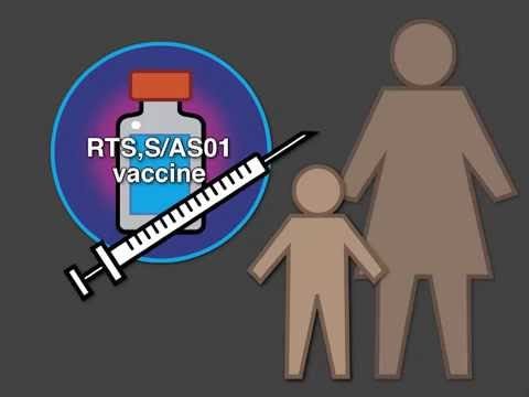 MEDICAL TERMINOLOGY: 1) primary vaccine failure, 2) secondary vaccine failure, 3) breakthrough infections, 4) negative vaccine efficacy