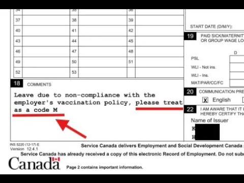 Justice 4 EI Misconduct: When Administrative Leave Became “Misconduct” (Final Q&A with J4EIM)