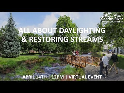 All About Daylighting & Restoring Streams - by Mike Zimmer