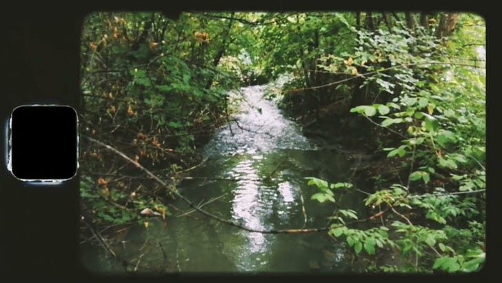The Stream Between Two Bridges.