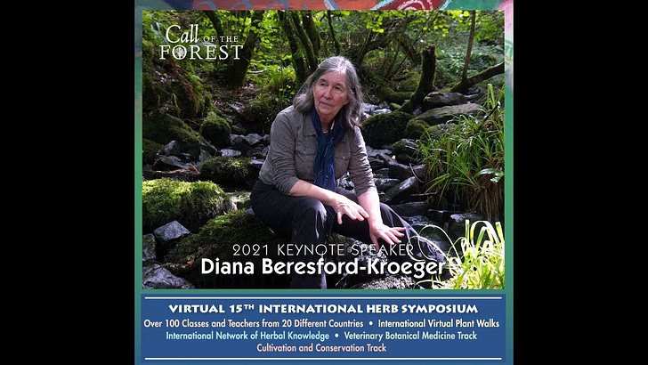 Enhancing Fertility Naturally - (Updated for 2026 with info on how reproductive health is connected with ancient forest ecology)