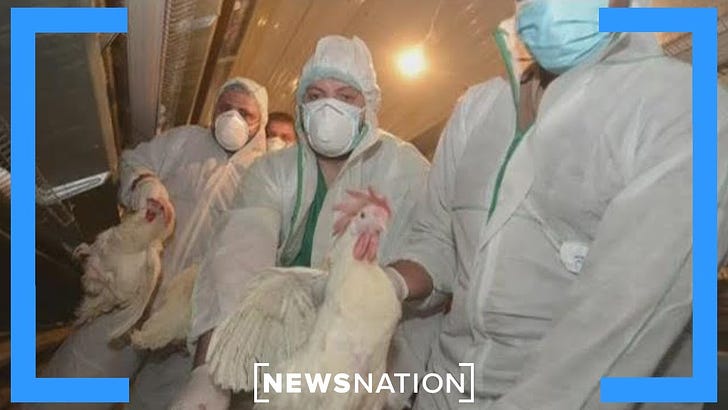 The 'BIRD FLU' PSYOP: Ex-CDC Director: “There WILL Be a Bird Flu Pandemic”