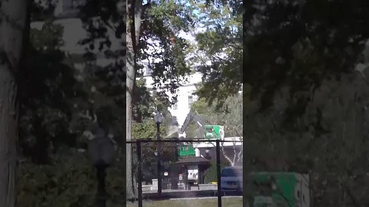 Smashing things to claim more power