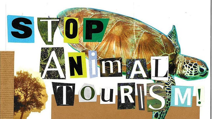 Animal suffering isn't entertainment 