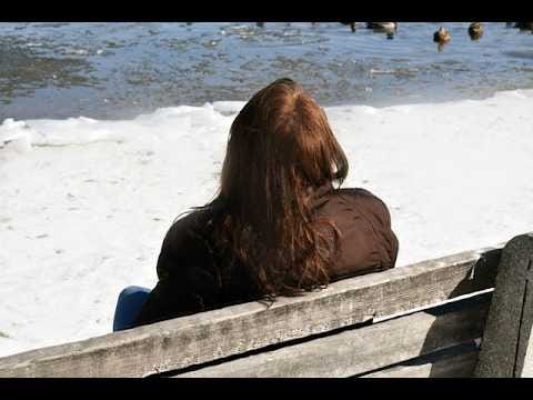 Sibley Birds Of Land, Sea, and Sky and Shoaff Lake