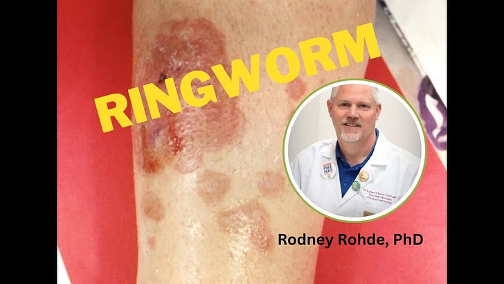 Rodney Rohde, PhD - by Robert Herriman