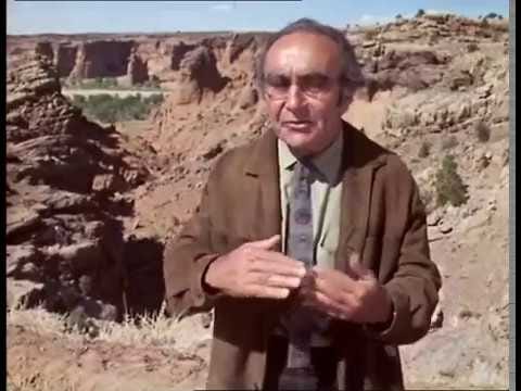 The Singularity Project