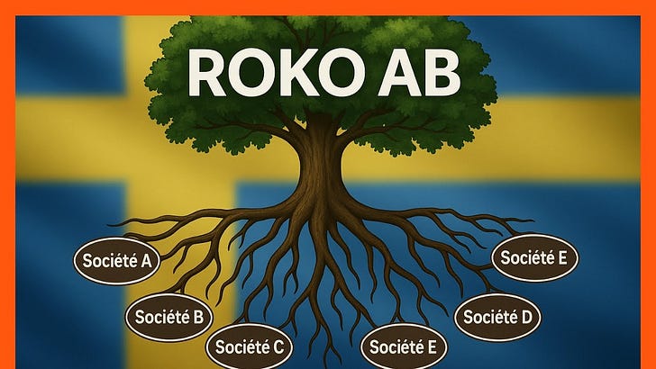 🇸🇪 ROKO AB : La nouvelle pépite suédoise pour votre PEA ? (Analyse IPO)
