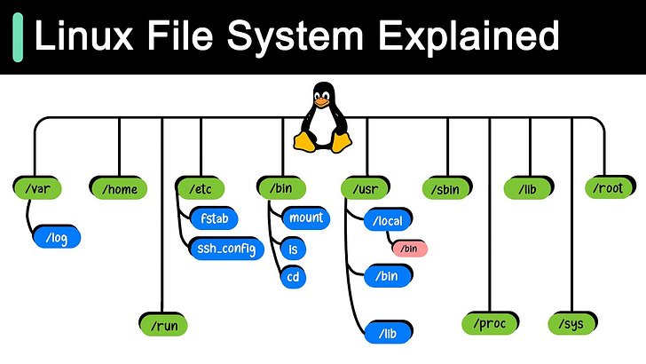 EP95: Linux File System Explained