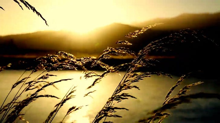 Montreal! Depechez! Rejoignez-Nous En Juin Pour La Gala D' Les Wonques! 