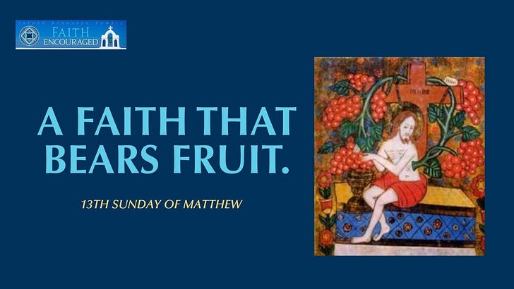The Parable of the Vineyard: A Call to Spiritual Fruitfulness