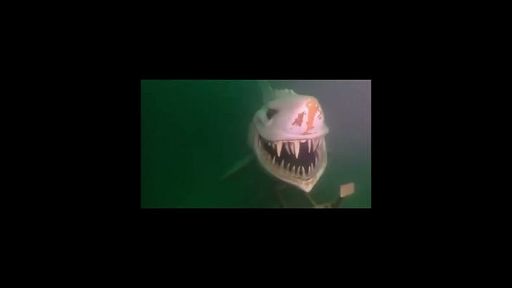 Someone put a shark statue at the bottom of a lake in Switzerland to scare divers...