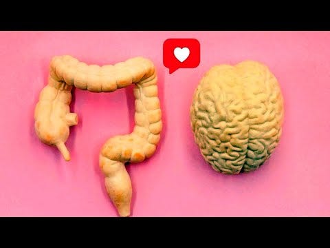 El documental que te muestra los secretos del intestino