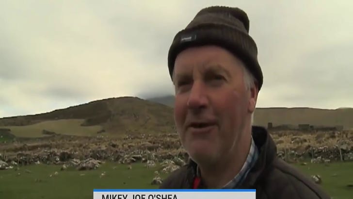 Can't Understand a Word? Farmers' Strong Irish Accent is Pure Gold!