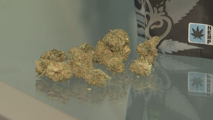 End of federal shutdown set to destroy hemp industry