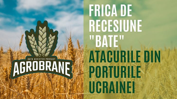 Frica de recesiune "bate" atacurile din porturile Ucrainei